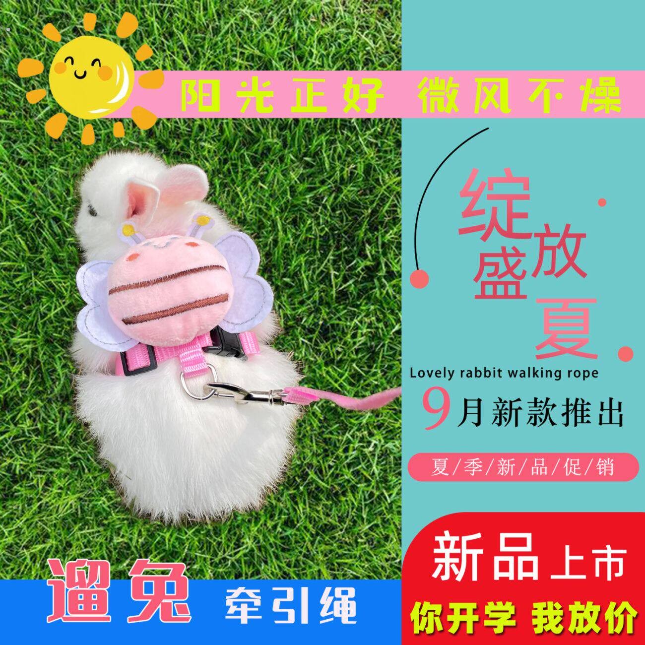 兔子牵引绳溜兔防挣脱牵遛绳子链子宠物小白侏儒兔专用外出绳用品