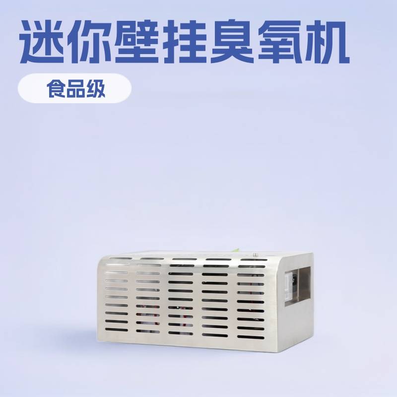 珍澳迷你壁挂臭氧发生器陶瓷片消毒机食品制药厂车间食品级全自动