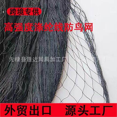 斑鸠尼龙网防护网农田果园家禽网养殖网樱桃葡萄网厂家跨境专
