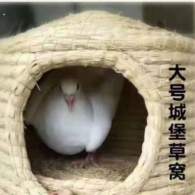 草编城堡窝鸽子窝兔子窝孵蛋专用鹌鹑玄风鹦鹉鸟巢草窝