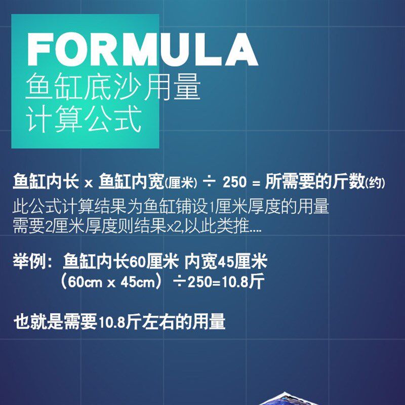法国红十字鱼缸沙底砂天然礁岩珊瑚沙法红海沙底沙造景装饰沙白色