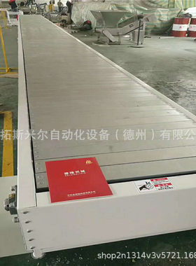德拓斯米尔吨袋板链输送机