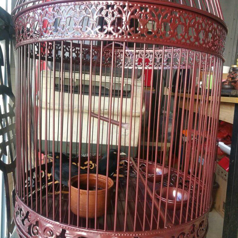 鸟笼鸽子鸟笼圆形型八哥鹦鹉画眉虎皮鹩哥斑鸠绣眼玄风大号鸟笼子