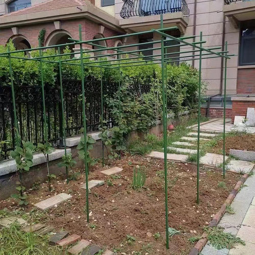 爬藤架葡萄架百香果月季花架包塑钢管支撑杆庭院户外拱门园艺支架