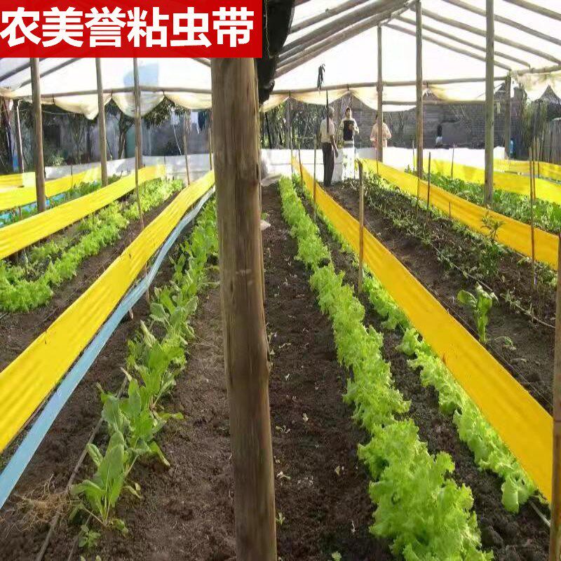 果树粘虫胶带树木防虫胶带园林苗木通用双面诱虫胶带粘缠大树包邮