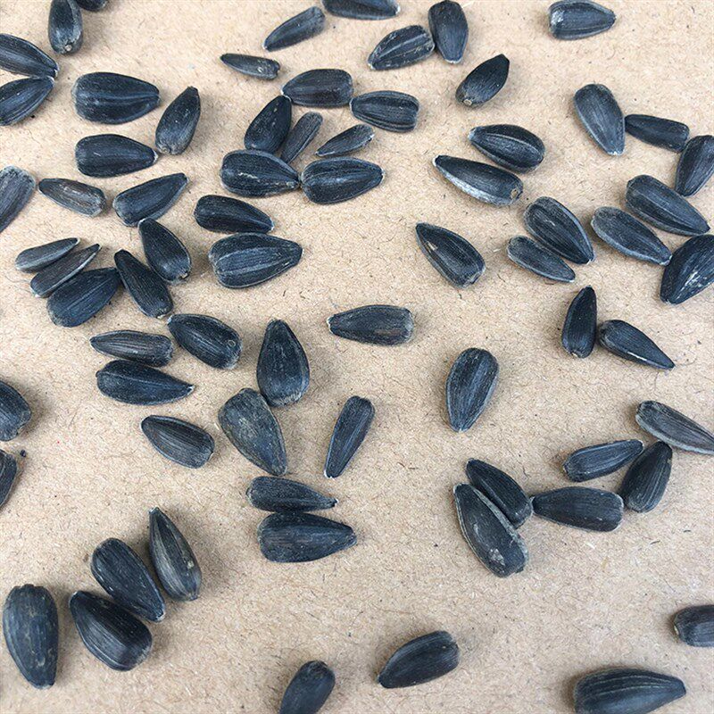 鹦鹉牡丹玄凤虎皮鸟粮瓜子麻子谷子三种混合装5斤包邮