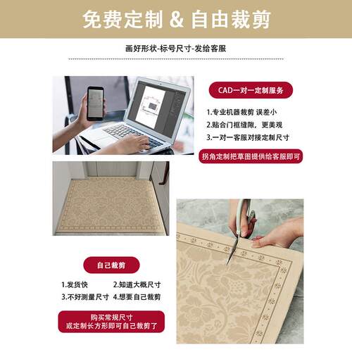 入户垫防水防油轻奢高级感进门口免洗可擦脚垫可裁剪家用防滑地垫