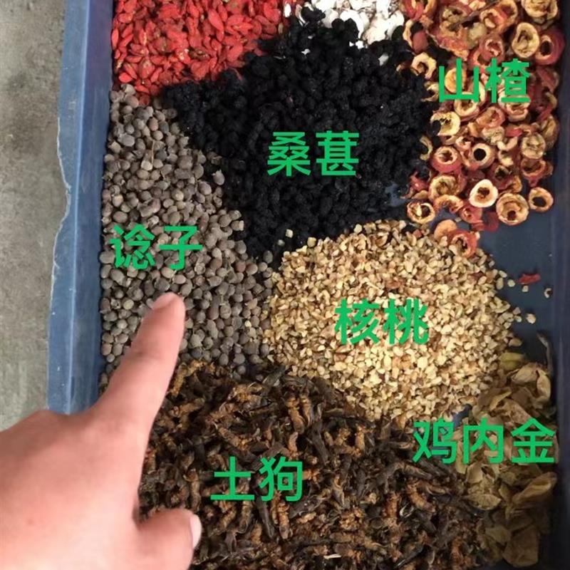 劲抽鸟食画眉饲料打口料打斗料营养提性收身壮膘换毛