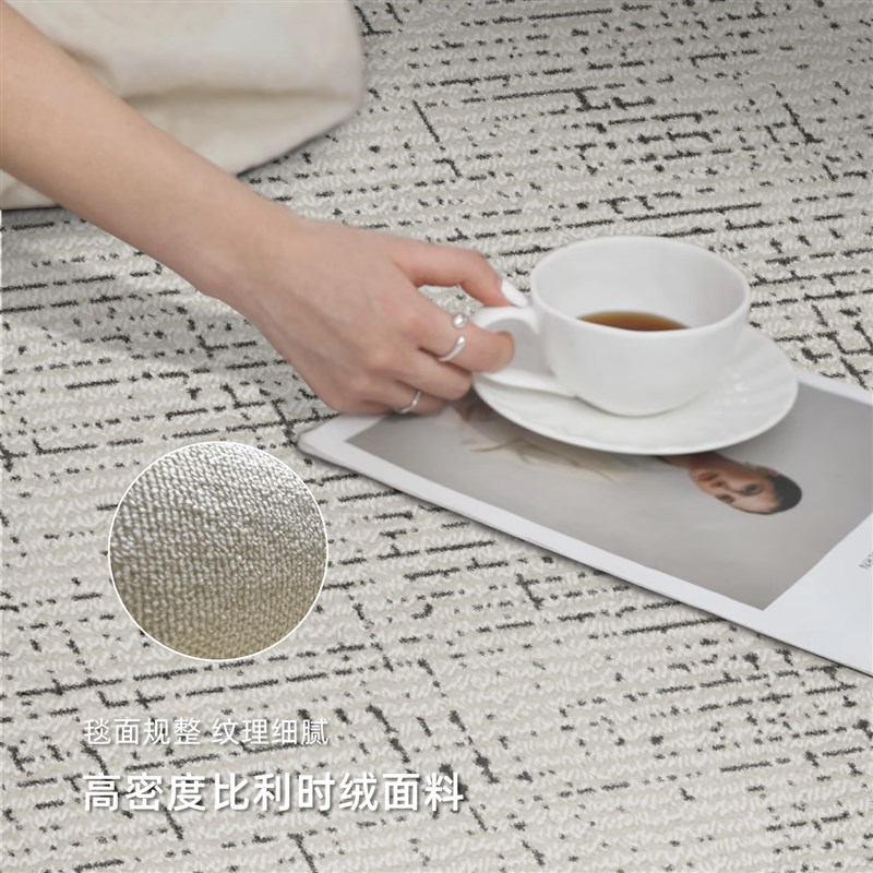 防水免洗轻奢地毯2025新款 家用爬行垫可擦洗加厚长方形
