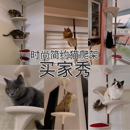 多格漫顶天立地猫爬架简约时尚通天柱猫跳台猫树别墅太空舱猫抓柱