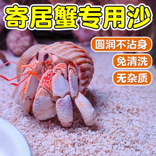 寄居蟹专用沙菲律宾沙椰土珊瑚沙子垫材鱼缸造景底砂用品饲养底沙