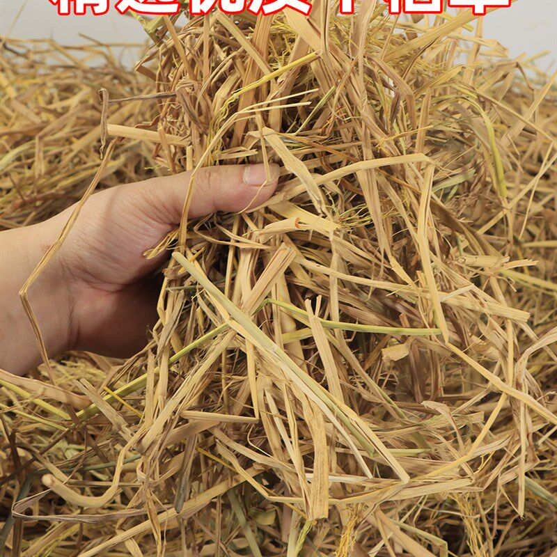 干稻草垫窝狗 猫 鸡 鸭 鹅兔草窝冬季宠物垫窝铺窝取暖防寒软稻草