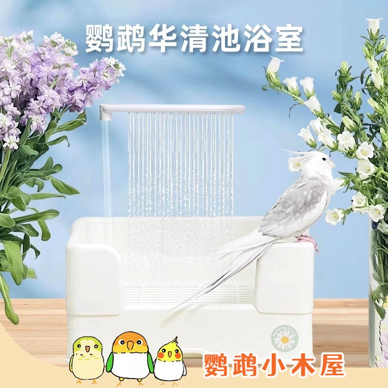 鹦鹉小木屋华清池鹦鹉鸟用洗澡盆刺星球电动洗澡自动循环水浴池