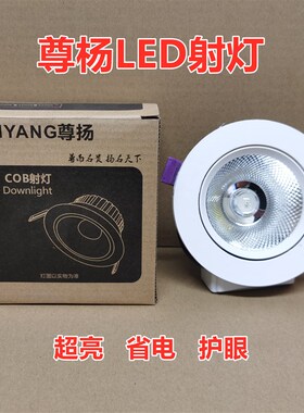 尊扬COB射灯5W7W12W20W30客厅背景墙展厅嵌入式LED天花灯商场店铺