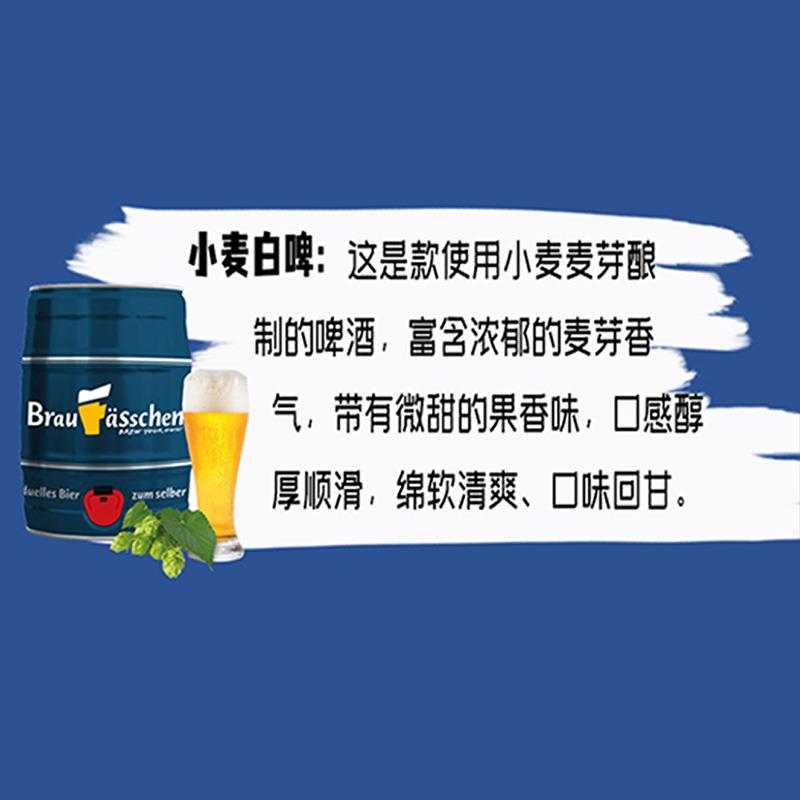 堡菲鲜精酿啤酒小型家用酿酒机一体化不锈钢自酿发酵罐3升5升容量