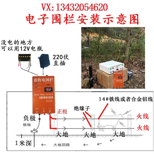 脉冲电子围栏主机 牧场牛羊专用养殖电网电子围栏系统整套 电围栏