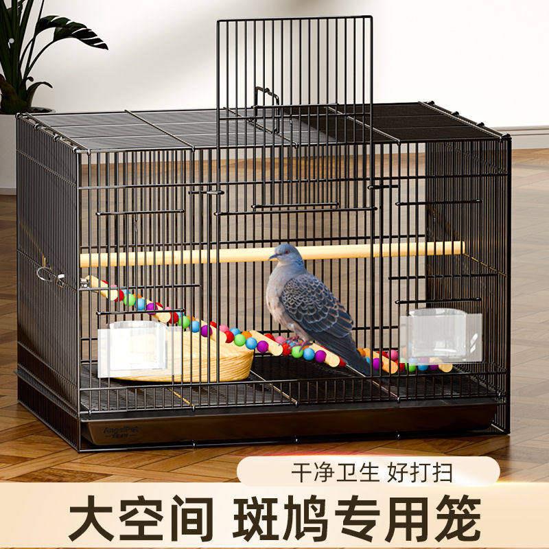 斑鸠专用笼子斑鸠鸟笼养殖笼子养斑鸠活鸟家养的笼子超大号繁殖窝