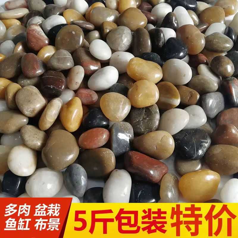 鹅卵石雨花石原石高抛光五彩装饰铺地鱼缸园艺水培庭院厂