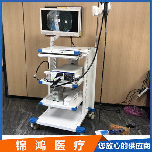 原装奥林巴斯CV170电子胃肠镜维修用于胃部检查结肠镜CF-H170I