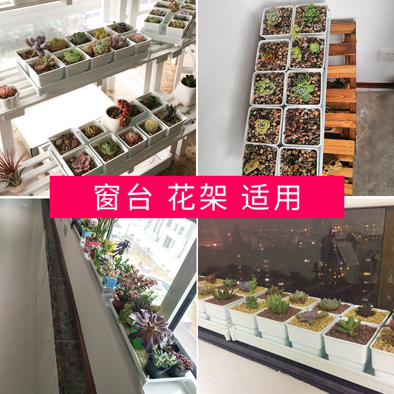 美莳多肉花盆托盘长方形多肉托盘阳台收纳多肉育苗盆托盘塑料托盘