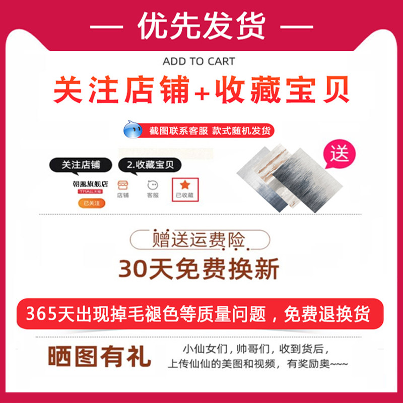 新中式进门地垫家用入户门垫子门口脚垫客厅毯吸水防滑地板垫裁剪
