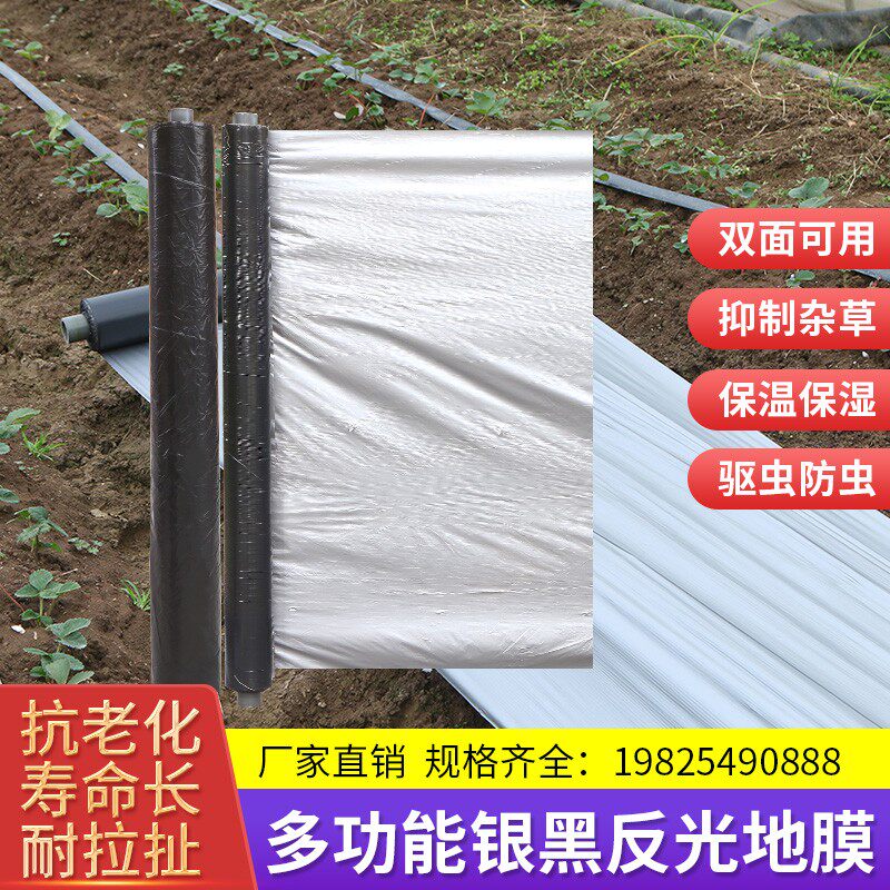双色银黑地膜反光除草防虫保湿农用薄膜葡萄银灰净重地膜果园用膜