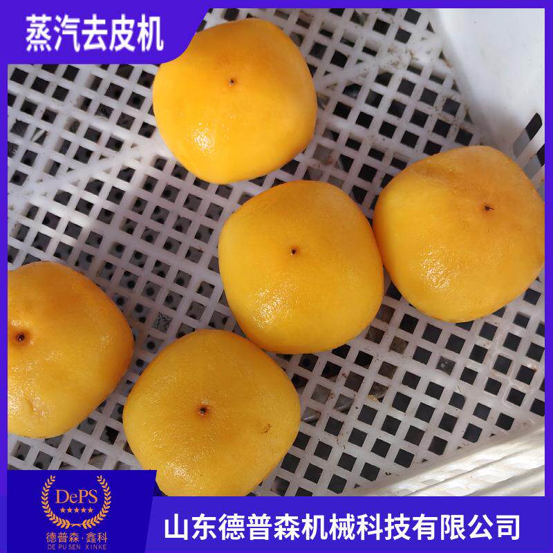 全自动果皮ULI蔬蒸汽去芋皮设备物理去薯柿子头红脱皮机