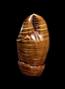 天然金丝楠木水波纹螃蟹钳摆件雕刻手把件工艺文玩招财桌面小摆件