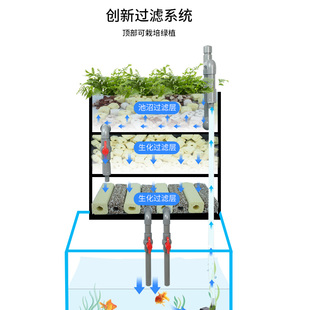 沼泽过滤箱周转箱鱼缸鱼池过滤器水池水净化循环系统滴流鱼菜共生