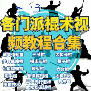 短棍教学棍术视频教程少林棍双节棍短棍鞭杆魔棍长棍U盘
