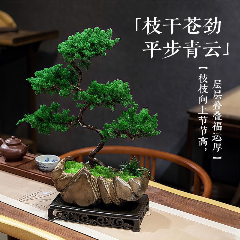 迎客松五层塔松罗汉松盆栽真树盆景摆件老桩树苗室内客厅桌面绿植