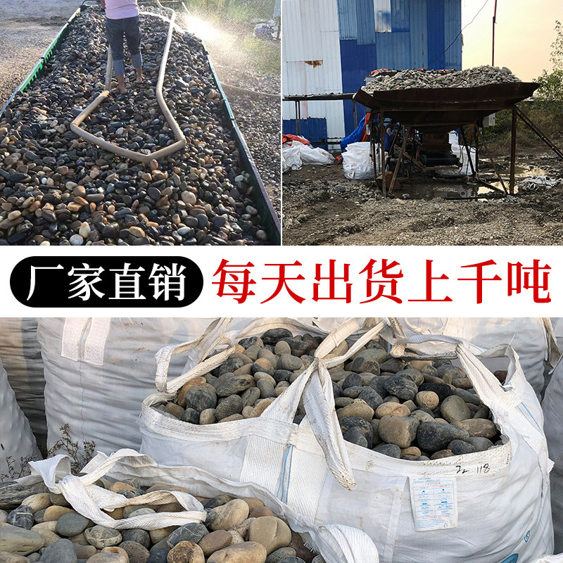 天然鹅卵石铺地造景雨花石原石石头庭院石子花园鱼缸白色鹅软暖石