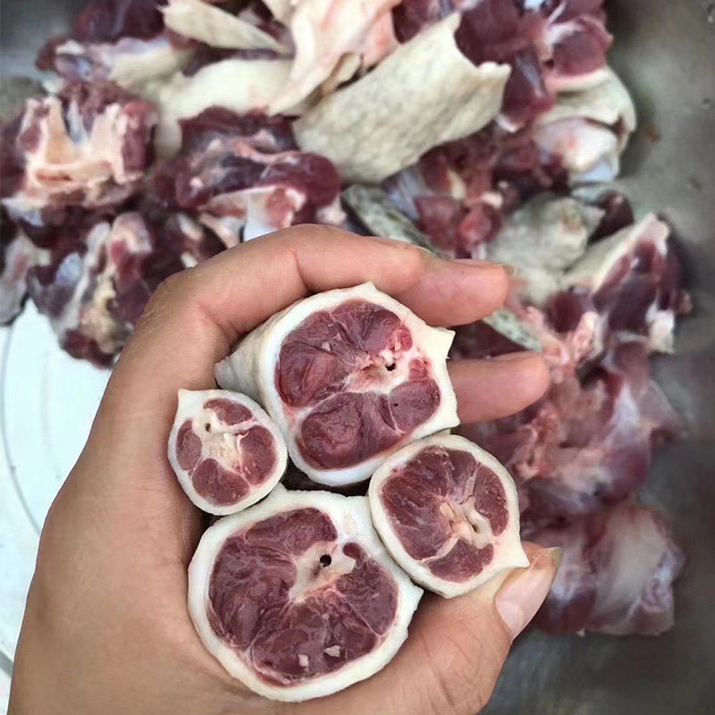 食用小鳄龟肉龟北美杂佛吃肉煲汤龟观赏宠物龟大型外塘鳄鱼龟活体