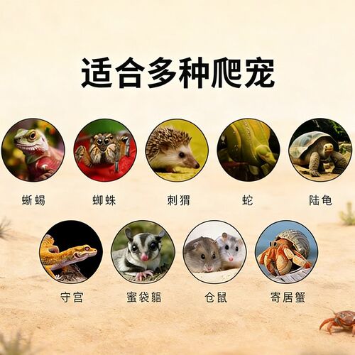 保温箱PVC爬宠饲养箱爬行动物守宫鬃狮蜥蜴陆龟蛇恒温箱乌龟饲养