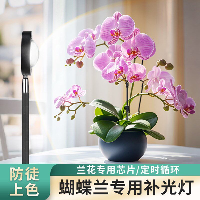 蝴蝶兰专用植物补光灯花卉绿植上色全光谱生长灯室内落地日照灯