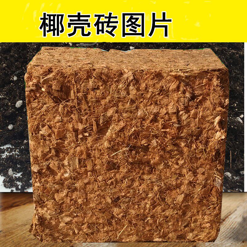 直销50块装小椰砖650g 椰粉砖椰壳椰糠低盐 花土兰花土营养土包邮