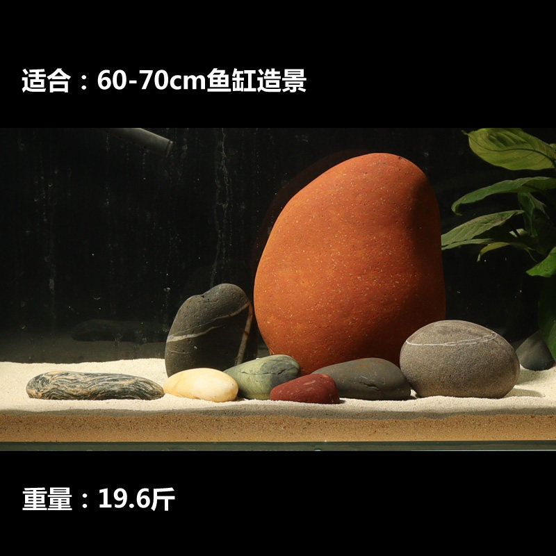 小鱼缸天然花纹鹅卵石造景红色珊瑚南美原生草缸水族装饰石头摆件