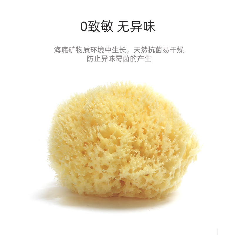 吕辰天然海绵新生婴儿孕妇洗脸搓澡蜂窝海棉宝宝沐浴棉S级10-11cm