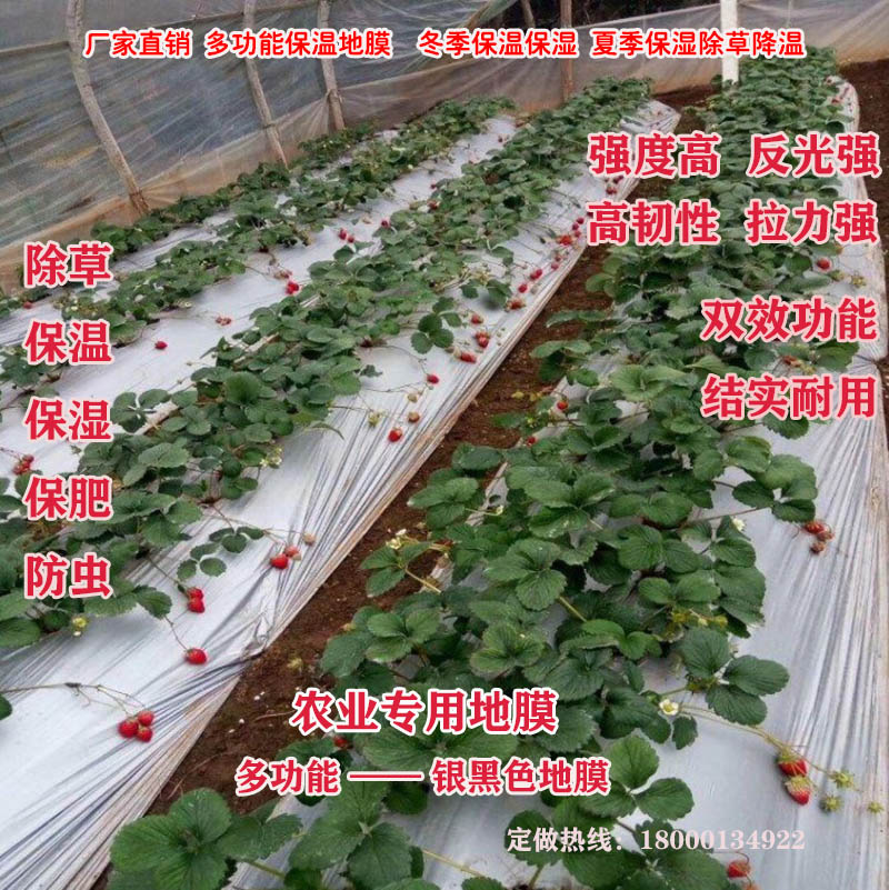 农用地膜黑色白色加厚双色银黑色地膜反光膜草莓大棚蔬菜果园果树