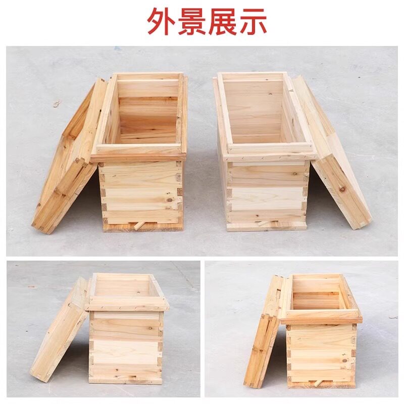 1.5厚5框蜂箱49/46/42不煮腊育王箱中蜂箱蜜蜂箱杉木养蜂工具巢
