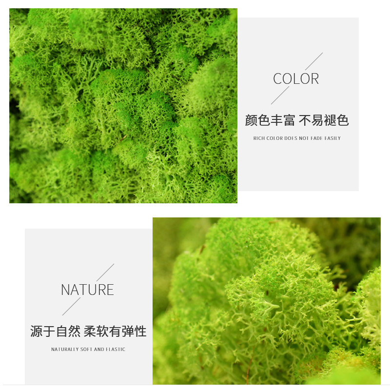 永生苔藓植物装饰鹿蕊藓白发藓微景观绿植墙背景墙仿真苔藓植物墙