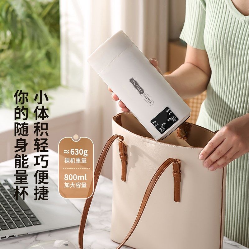 电炖杯多功能电热水杯小型养生杯便携式煮茶壶宿舍煮粥炖煮一体壶