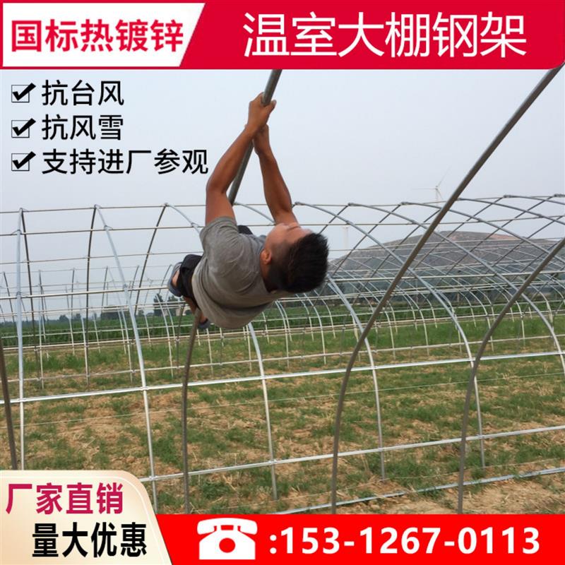 热镀锌温室蔬菜大棚骨架钢管 养殖种植大棚架全套送膜 抗风雪包邮