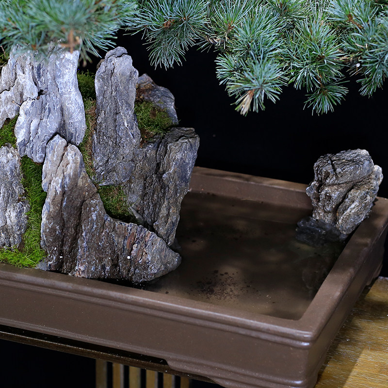 大型山水假山盆景庭院植物造型老桩五针松室内客厅办公室绿植摆件
