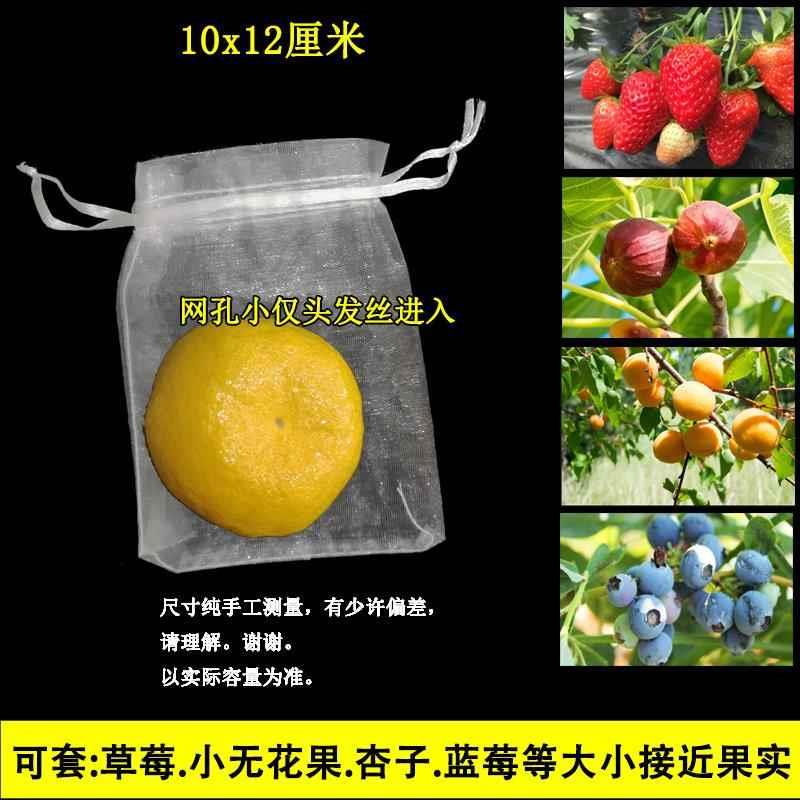 水果套袋防鸟网纱袋防虫专用袋枇杷葡萄桃子草莓保护袋耐用种植