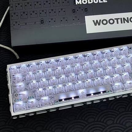 wooting60黑雾透正刻透明键帽磁轴原厂机械键盘客制满改ez63/RS6
