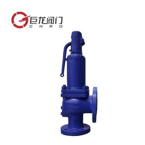 巨龙阀门不锈钢德标波纹管安全阀HFA42Y-16C弹簧封闭式泄压阀