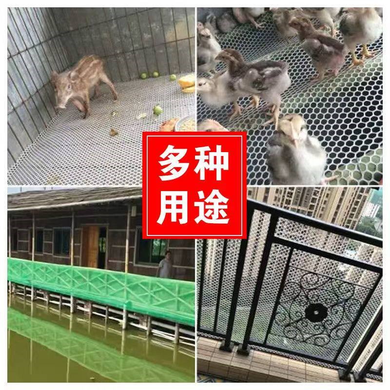 塑料养殖网育雏网鸡鸭鹅养殖网漏粪网养蚕网鸡笼脚垫阳台防护网