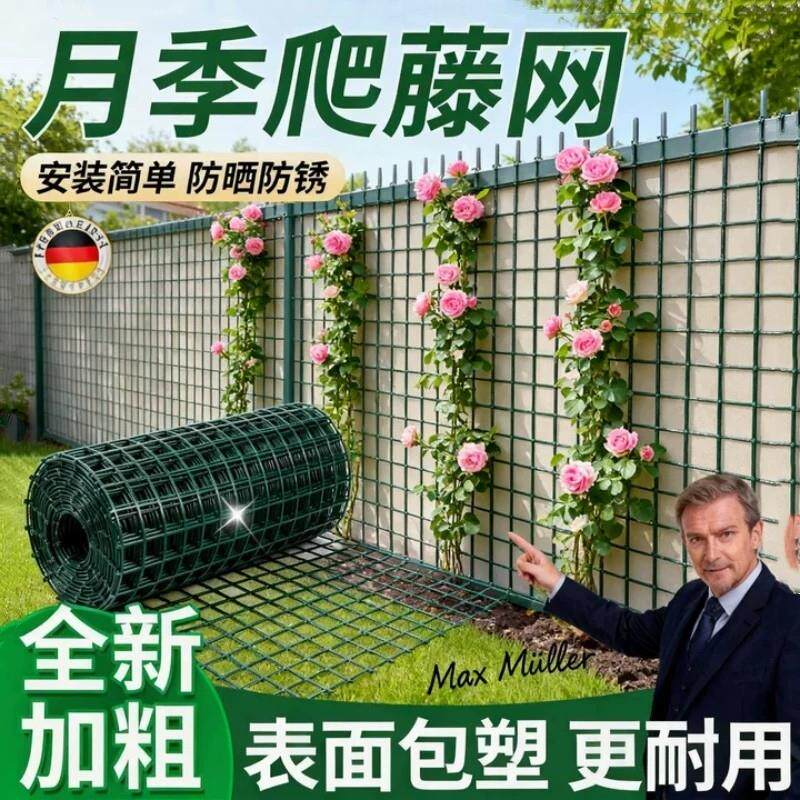 月季爬藤花墙架专用铁丝网花架蔷薇花植物爬墙固定网格壁挂爬藤架
