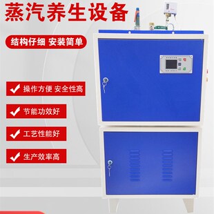 冬季梁场箱梁T梁混凝土水泥预制件养护蒸汽机燃油电动蒸汽锅炉